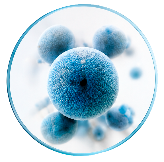 Illustration representing the oral microbiome